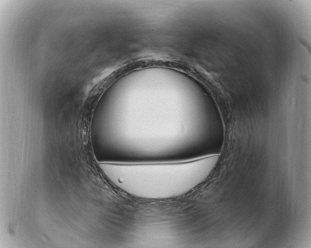 X0000103301303200808291121