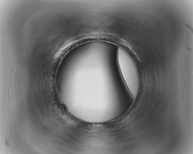 X0000103301304200808291121