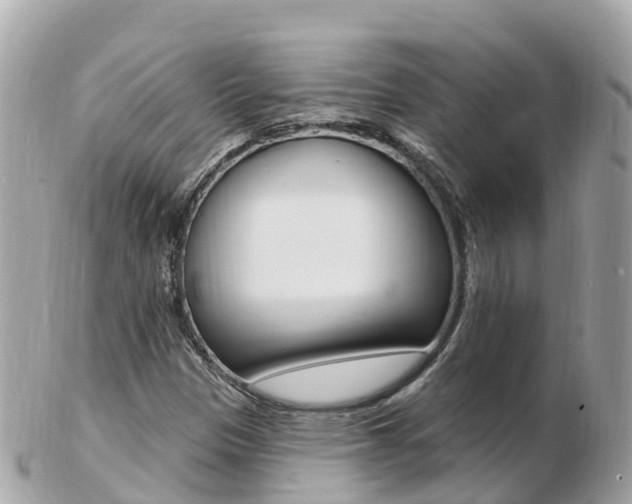 X0000103301305200808291121