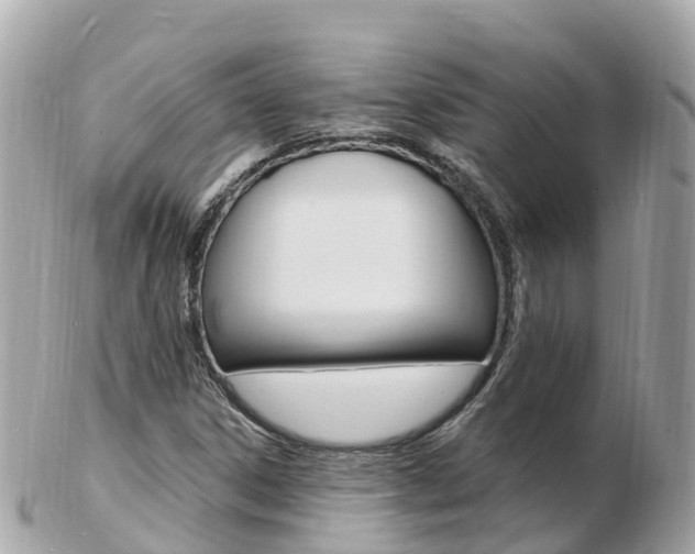X0000103301306200808291121