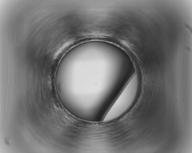 X0000103301307200808291121