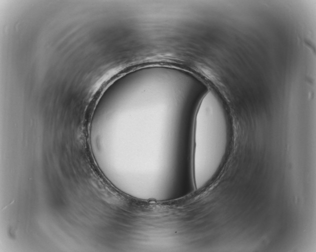 X0000103301308200808291121