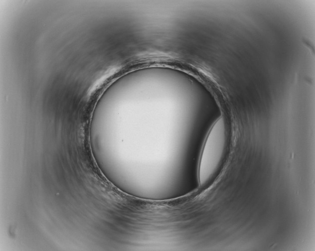 X0000103301309200808291121