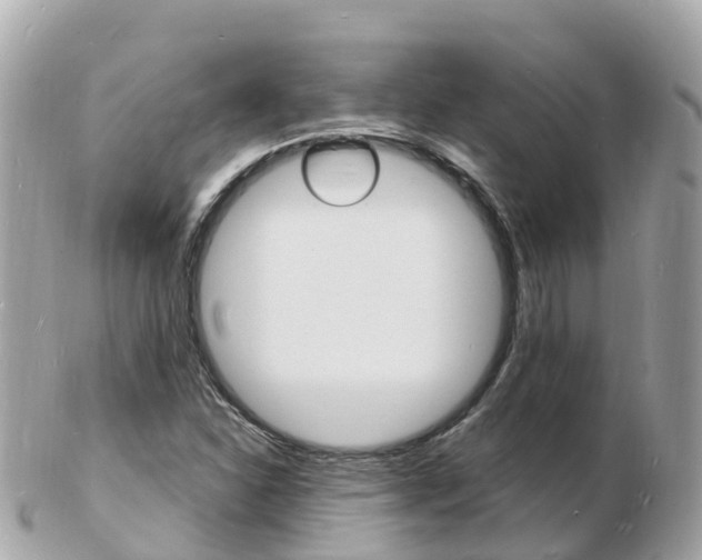 X0000103301310200808291121