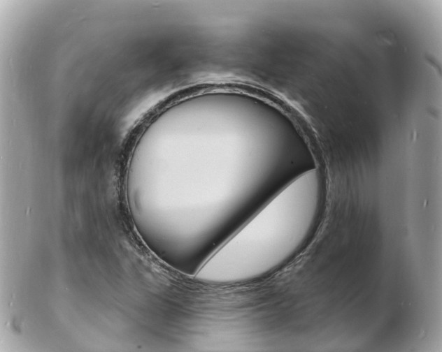 X0000103301311200808291121