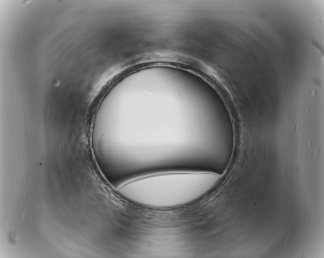 X0000103301312200808291121