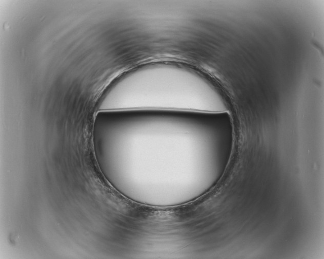 X0000103301313200808291121