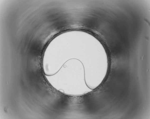X0000103301314200808291121