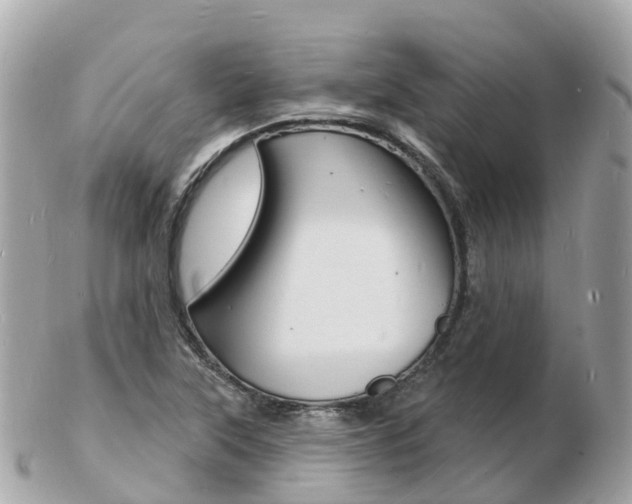 X0000103301315200808291121