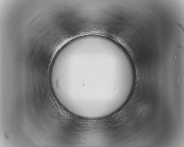 X0000103301316200808291121