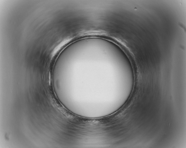 X0000103301317200808291121
