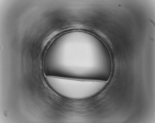 X0000103301318200808291121