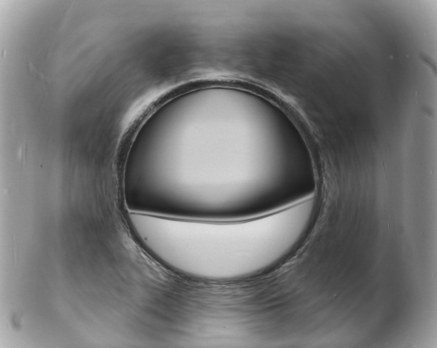 X0000103301319200808291121