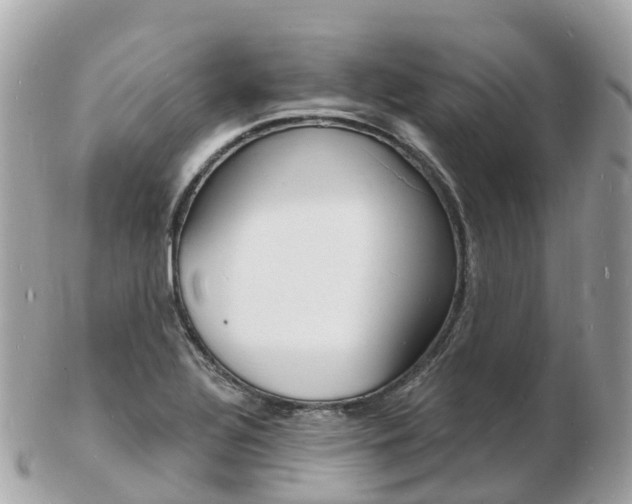 X0000103301320200808291121