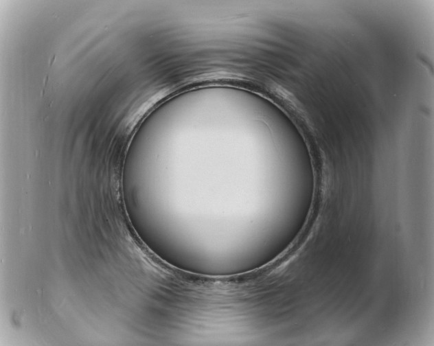 X0000103301321200808291121