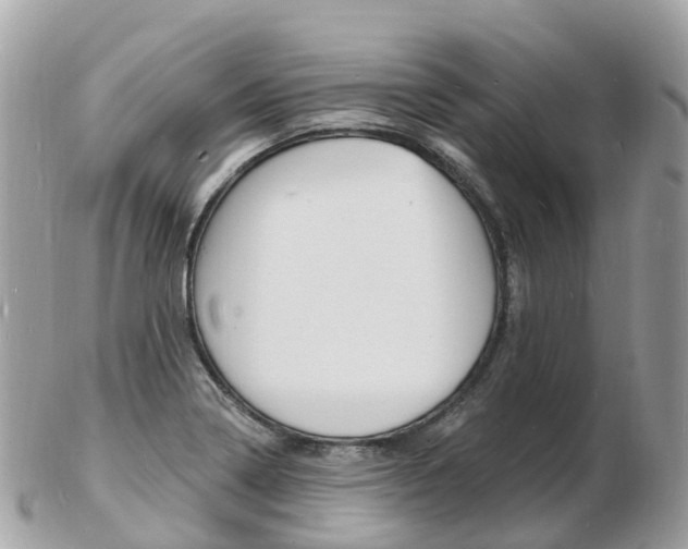 X0000103301322200808291121