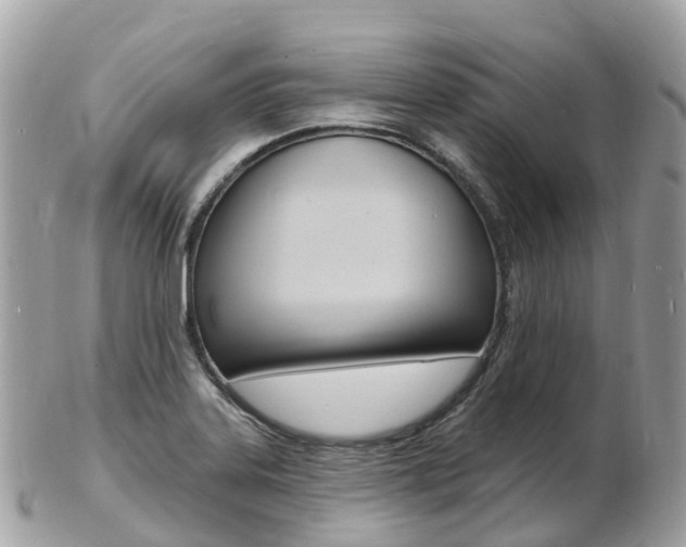 X0000103301323200808291121