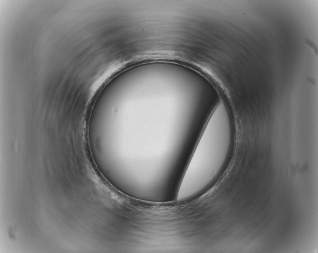X0000103301325200808291121