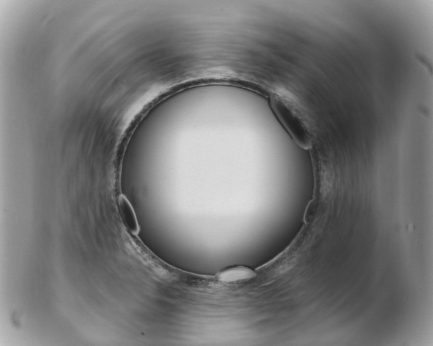 X0000103301326200808291121
