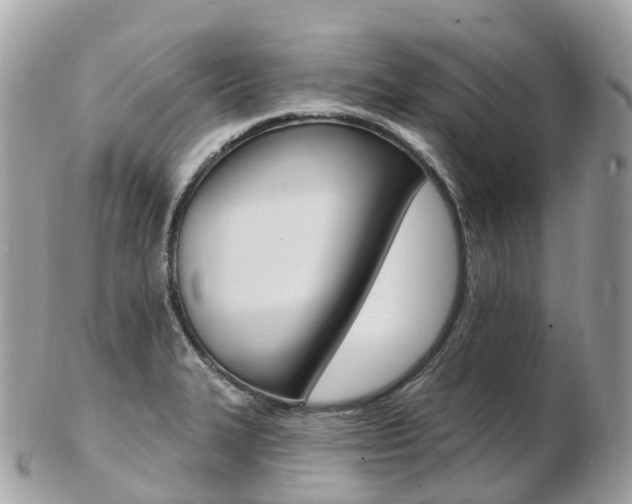 X0000103301327200808291121