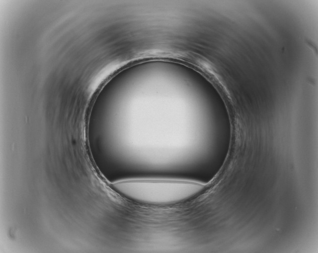 X0000103301328200808291121