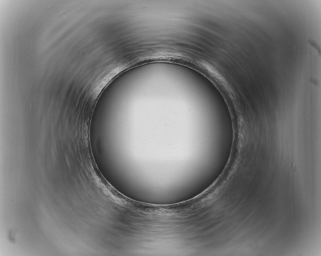 X0000103301329200808291121