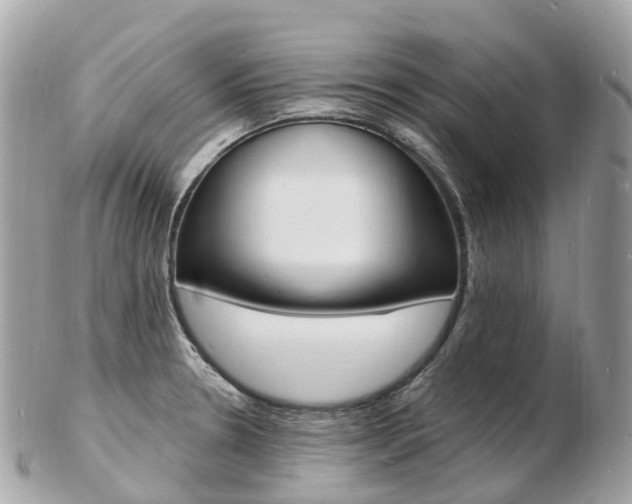 X0000103301330200808291122