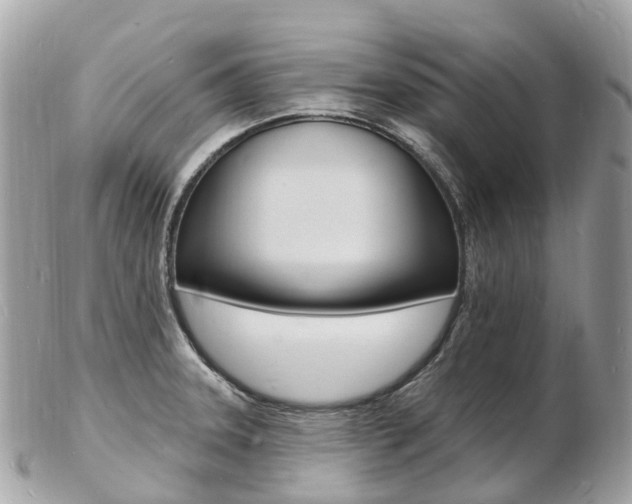 X0000103301331200808291122