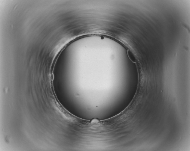 X0000103301332200808291122