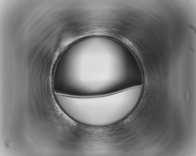 X0000103301334200808291122