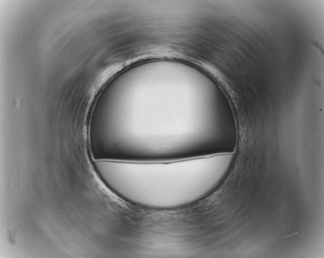 X0000103301335200808291122