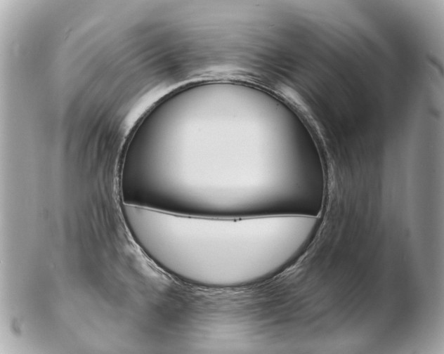 X0000103301336200808291122
