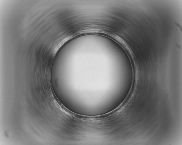 X0000103301337200808291122