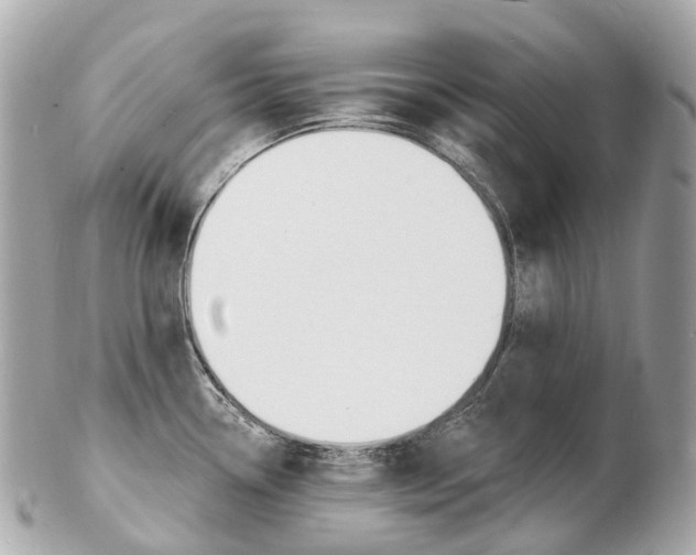 X0000103301338200808291122