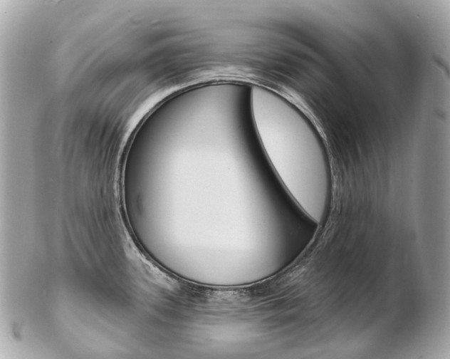 X0000103301339200808291122