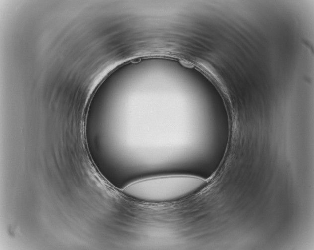 X0000103301340200808291122