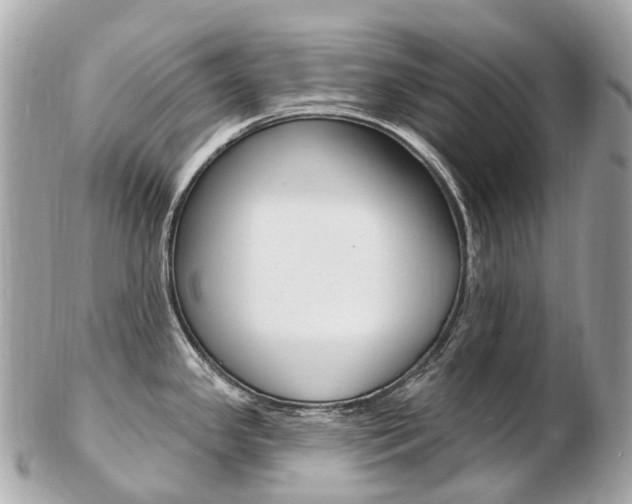 X0000103301341200808291122