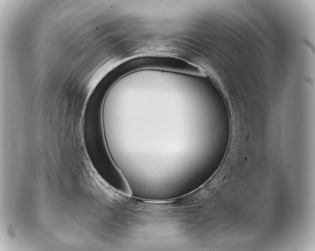 X0000103301344200808291122