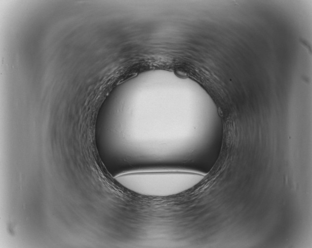 X0000103301345200808291121