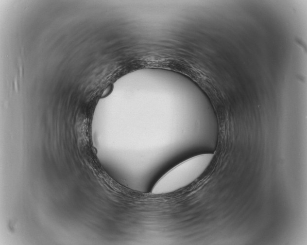 X0000103301346200808291121