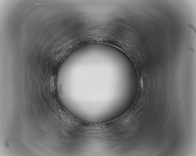 X0000103301347200808291121