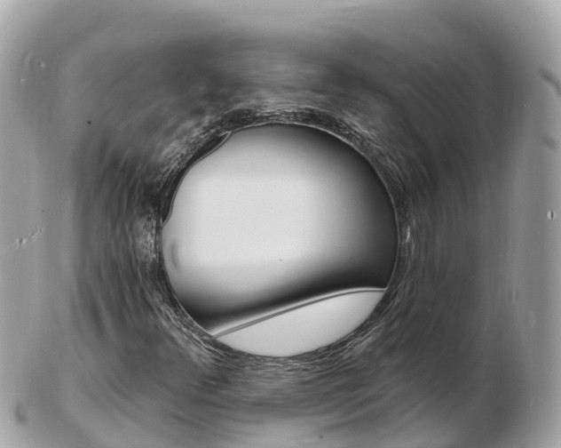 X0000103301348200808291121