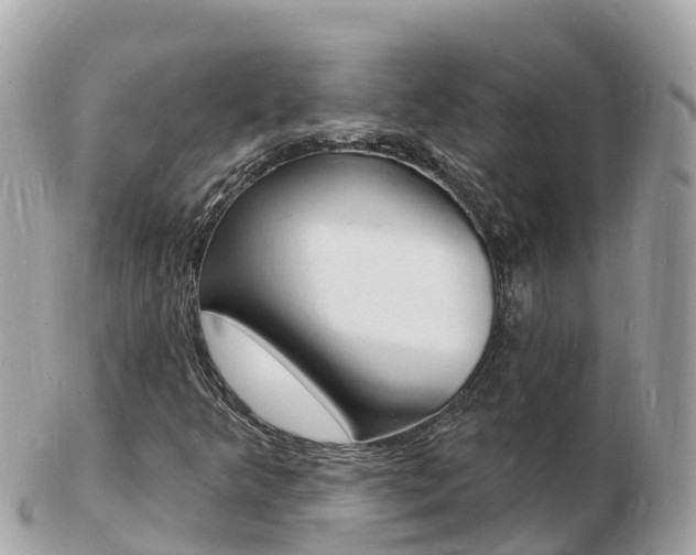X0000103301349200808291121