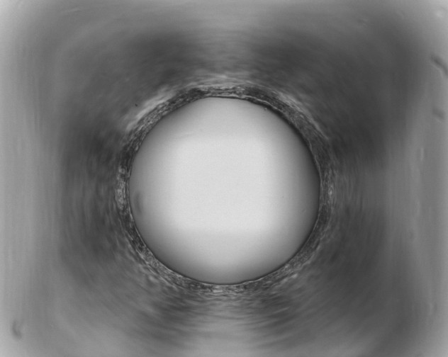 X0000103301350200808291121