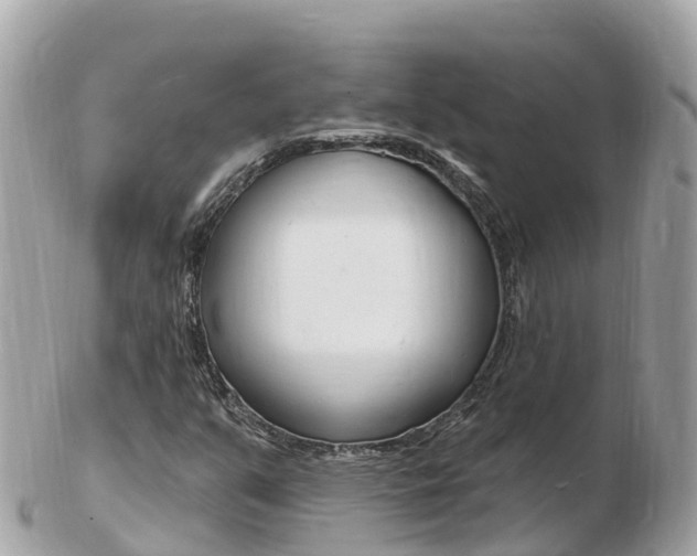 X0000103301351200808291121