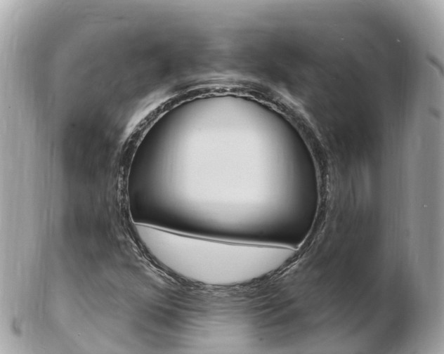 X0000103301352200808291121