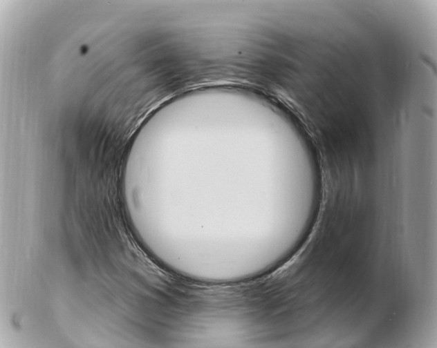 X0000103301353200808291121