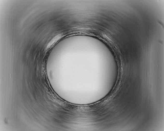 X0000103301354200808291121