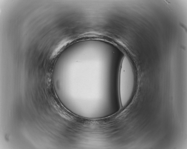 X0000103301355200808291121