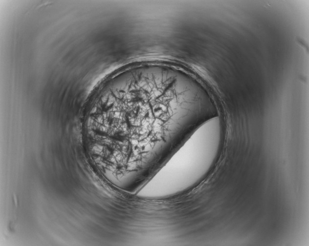 X0000103301356200808291121